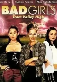 Plakat filmu Bad Girls from Valley High 