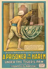 Plakat filmu A Prisoner in the Harem