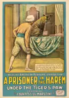 plakat filmu A Prisoner in the Harem