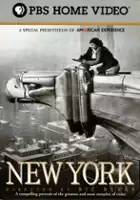 plakat serialu New York: A Documentary Film