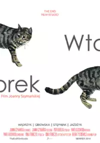 Plakat filmu Wtorek