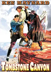 Plakat filmu Kanion nagrobk&oacute;w