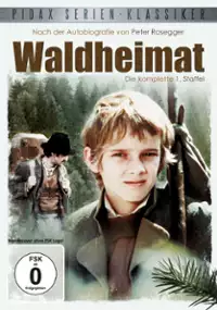 Plakat serialu Waldheimat