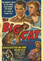 plakat filmu The Big Cat