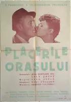 plakat filmu Le Tracassin