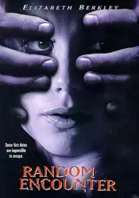 Plakat filmu Przypadkowy romans