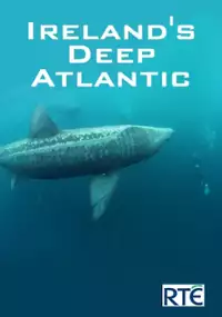 Plakat filmu Podwodne cuda Atlantyku