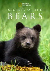 Plakat serialu Secrets of the Bears