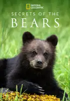 Maria Wilhelm / Secrets of the Bears