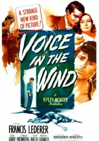 Plakat filmu A Voice in the Wind