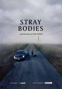 Plakat filmu Ciała obce