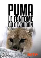 plakat filmu Puma. Śladem nieuchwytnego drapieżnika