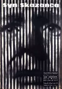 Plakat filmu Syn skazańca