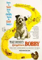 plakat filmu Greyfriars Bobby: The True Story of a Dog