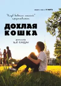 Plakat filmu Zdechły kot