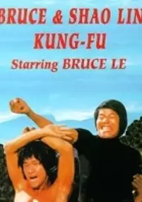 Plakat filmu Da mo tie zhi gong