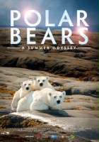 plakat filmu Polar Bears: A Summer Odyssey