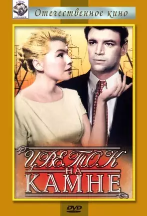 plakat filmu Kwiatek na kamieniu