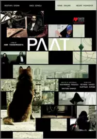 Plakat filmu Pies