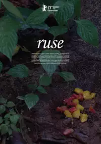 Plakat filmu Ruse
