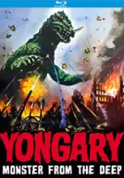 Ki-duk Kim / Taekoesu Yonggary
