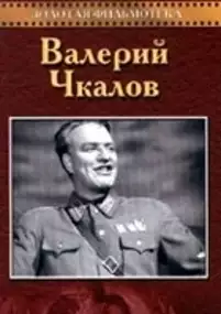 Plakat filmu Szalony lotnik