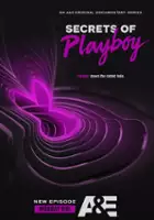 plakat - Playboy: mroczne sekrety (2022)