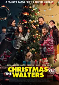 Plakat filmu Christmas vs. The Walters