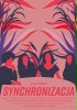 Synchronizacja