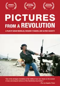Plakat filmu Pictures from a Revolution