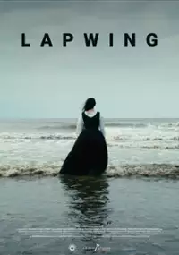Plakat filmu Lapwing