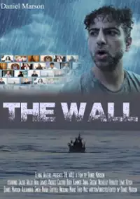 Plakat filmu The Wall