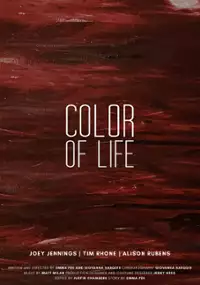 Plakat filmu Color of Life