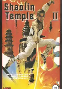 Plakat filmu Shaolin Temple 2