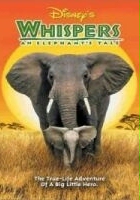 plakat filmu Słoniątko