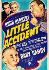 Plakat filmu Little Accident