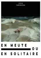 Matthieu Fraticelli / En meute ou solitaire