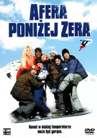 Plakat filmu Afera poniżej zera