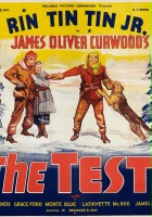 plakat filmu The Test