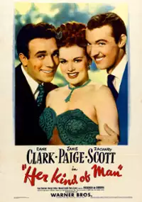 Plakat filmu Her Kind of Man
