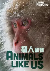 Plakat serialu Animals, They're Just Like Us!