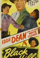 plakat filmu Black Hills