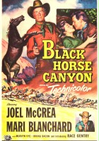 plakat filmu Black Horse Canyon