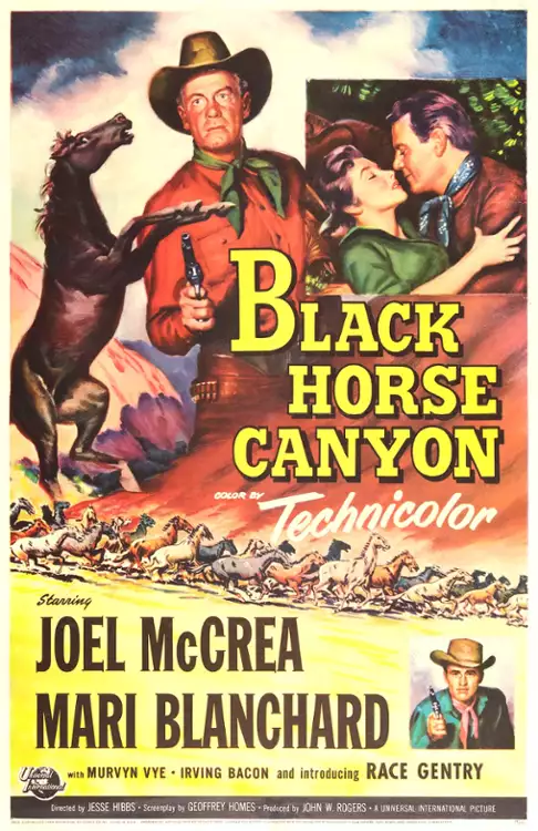 plakat filmu Black Horse Canyon
