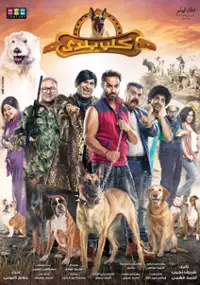 Plakat filmu Kalb Balady
