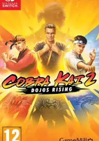 Plakat gry Cobra Kai 2: Dojos Rising
