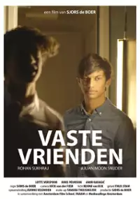 Plakat filmu Vaste Vrienden