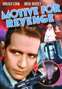 Plakat filmu Motive for Revenge