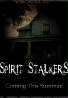 plakat filmu Spirit Stalkers