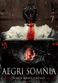 Plakat filmu Aegri Somnia